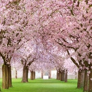 Meet your Posher, Florence